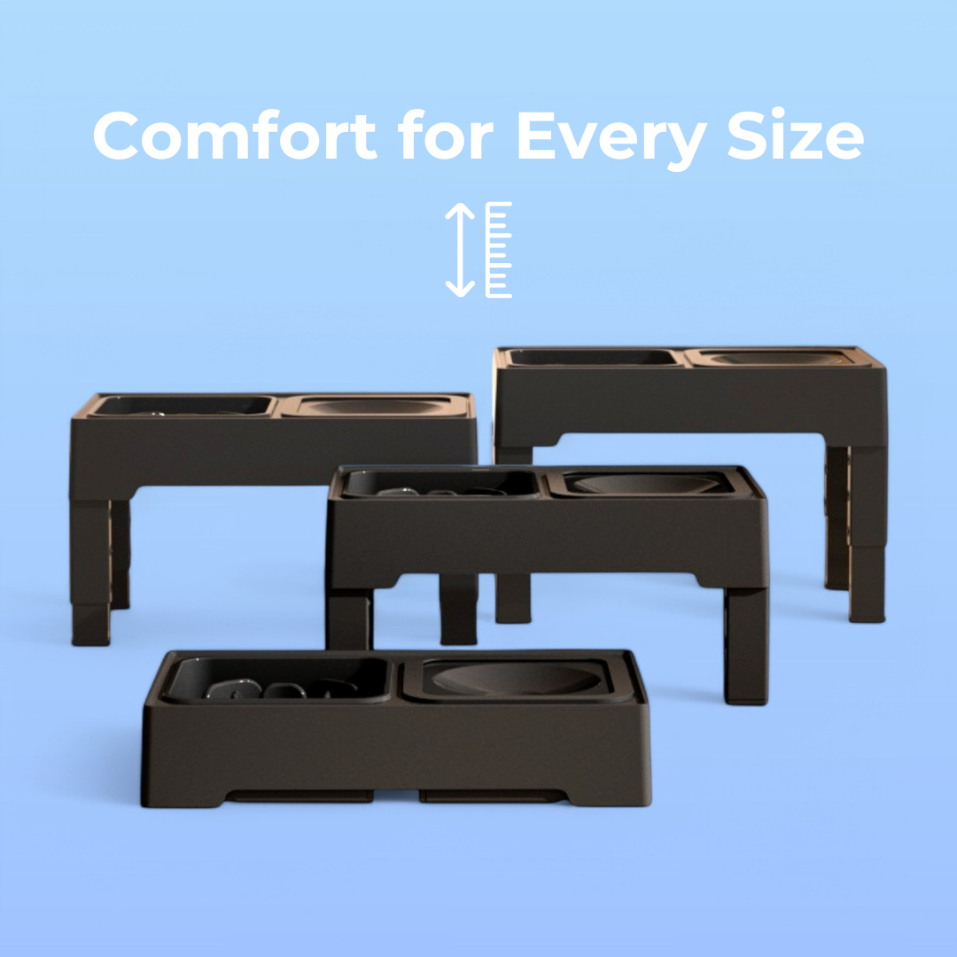 2-in-1 Dog Bowl
