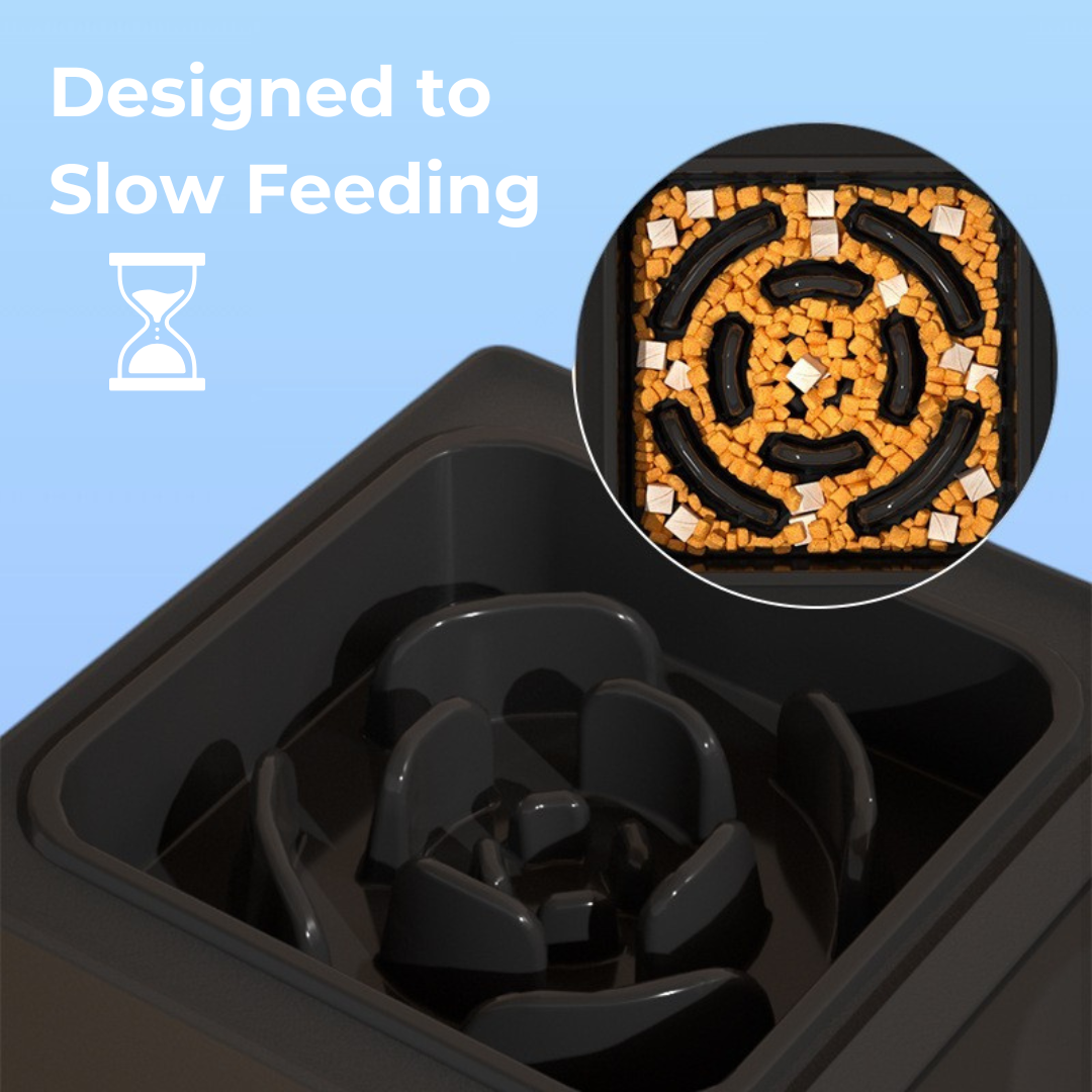 2-in-1 Dog Bowl