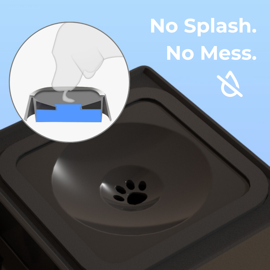 2-in-1 Dog Bowl