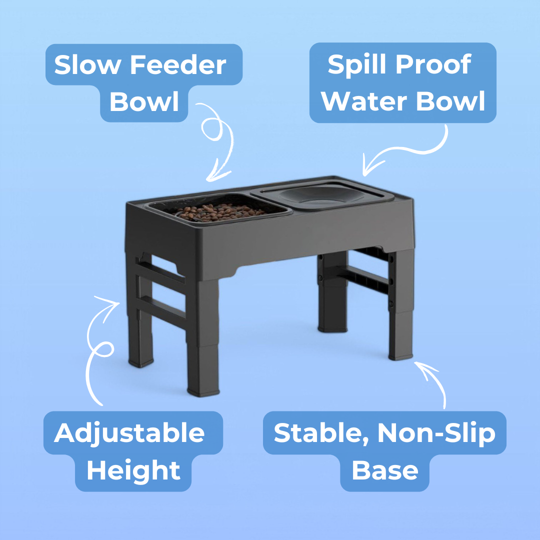 2-in-1 Dog Bowl